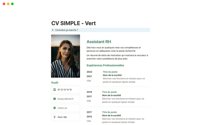CV simple vert en Français